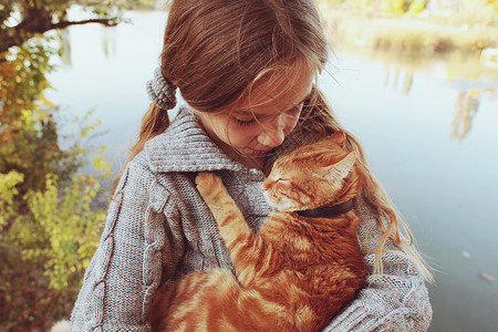 抱着猫女孩十几岁的女孩怀里抱着红猫背景