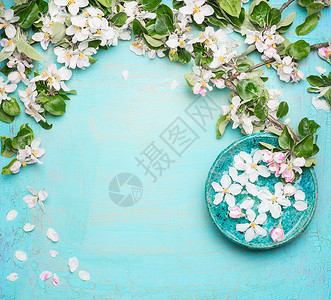 水疗健康绿松石背景与花水碗与白色的花,顶部景观春天的花朵背景背景图片