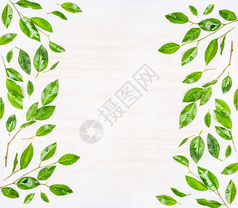 美丽的框架图案的绿叶与水滴白色的木制背景,顶部的生态,机自然背景图片