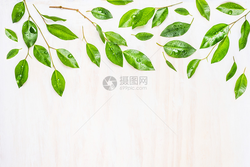 绿叶与露珠,边界图案白色木制背景,顶部视图生态,机自然图片