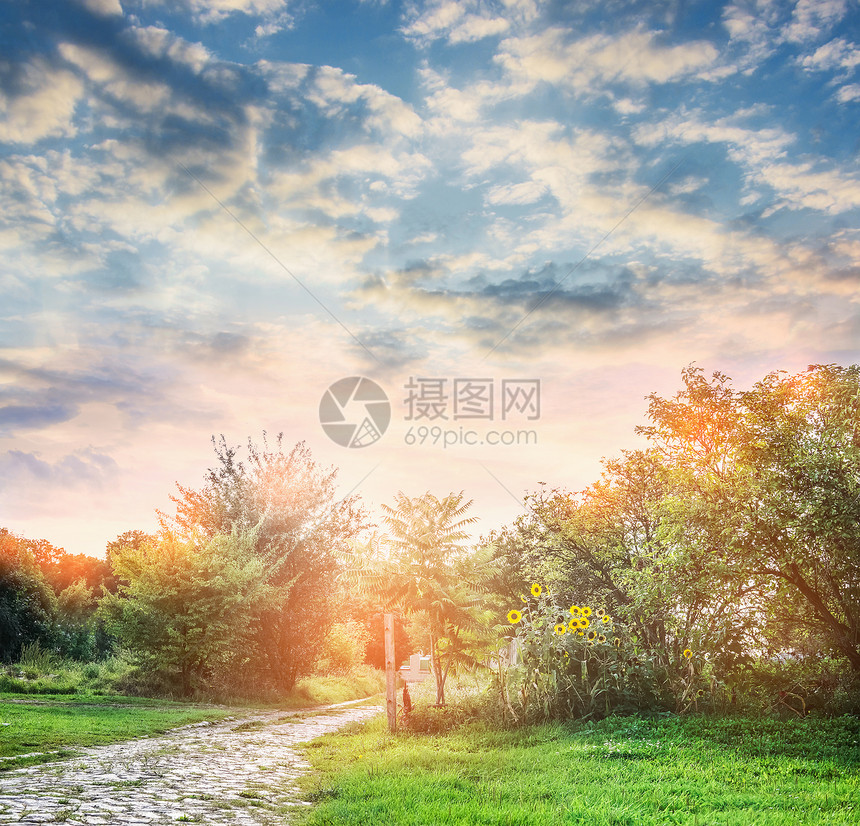 乡村夏季自然夏天的树,向日葵草坪美丽的天空背景上花园小径图片
