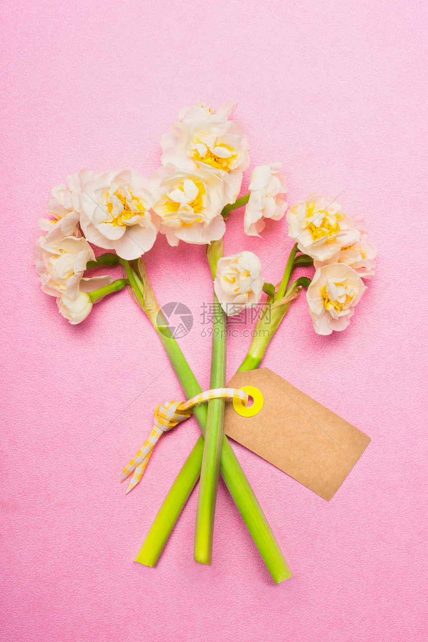 可爱的水仙花花与空白标签卡粉红色背景,顶部的视图春天的花图片