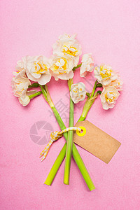 粉红色标签可爱的水仙花花与空白标签卡粉红色背景,顶部的视图春天的花背景