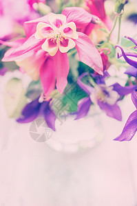 粉红色的花园花璃,浪漫的卡片,色调图片