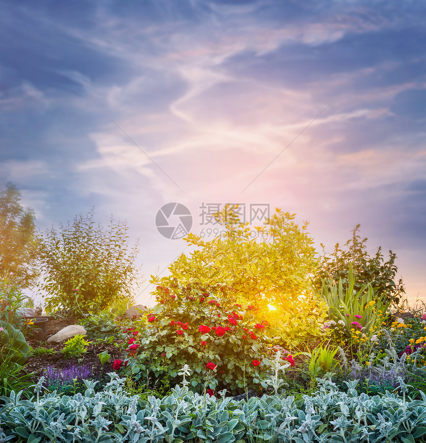 日落傍晚花园公园的天空背景图片