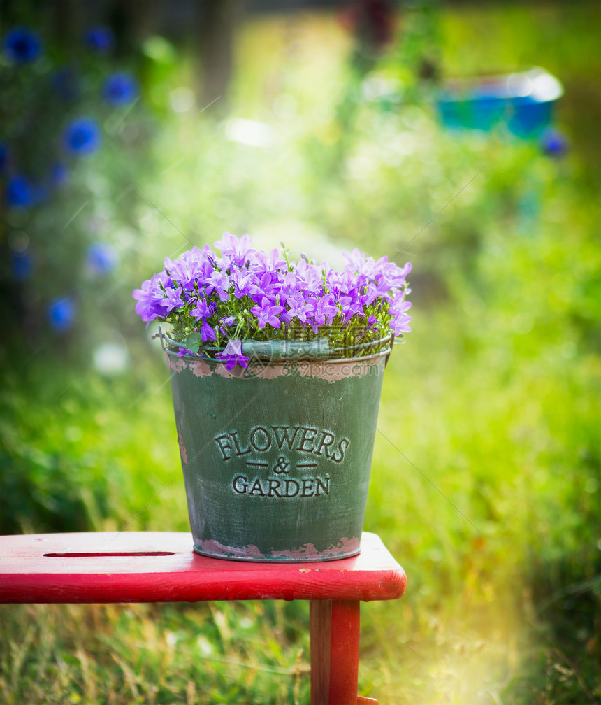 古老的绿色桶,花园钟花红色的小凳子上,夏天的自然背景下图片