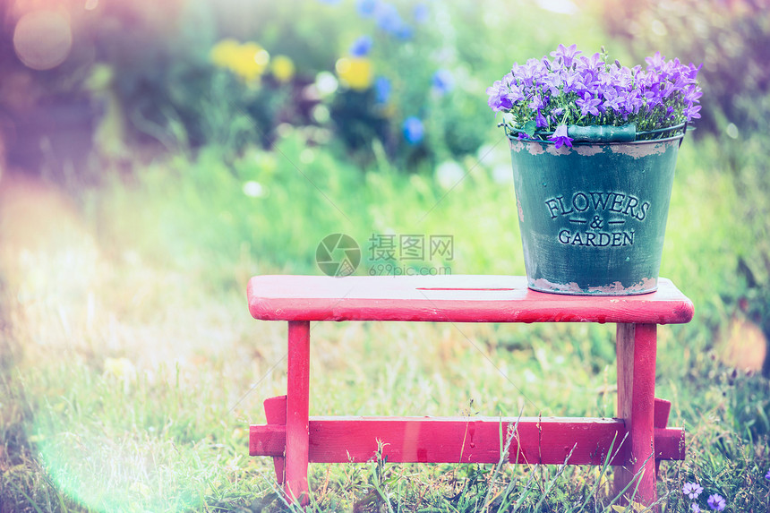 老式桶,花园花红色的小凳子上,夏天的自然背景下图片
