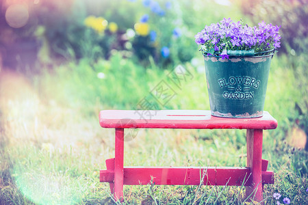 老式桶,花园花红色的小凳子上,夏天的自然背景下背景图片