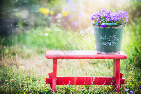 绿色的旧水桶,花园的露营花红色的小凳子上,夏天的自然背景下背景图片
