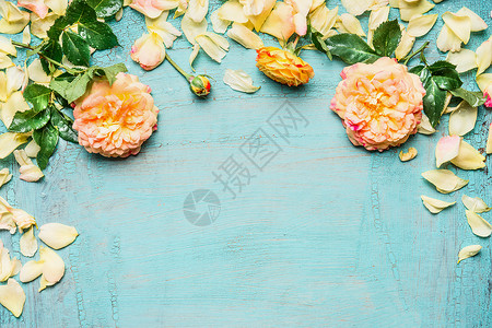 黄色粉红色玫瑰,叶花瓣浅蓝色背景,顶部视图,花卉边框背景图片