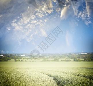 田野拖拉机轨道美丽的天空,模糊的自然背景图片