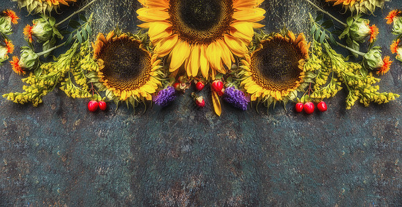 花卉边框与向日葵黑暗的复古背景,顶部的视图,文字的地方,横幅图片