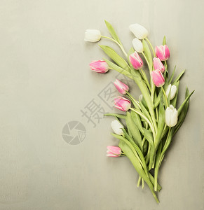 新鲜的白色玫瑰郁金香图片