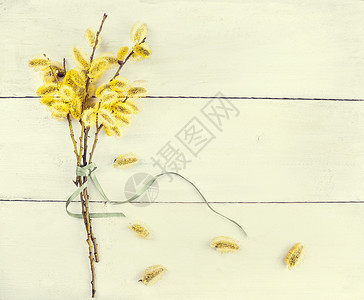 春天的女人柳树与柳絮轻木背景,色调图片