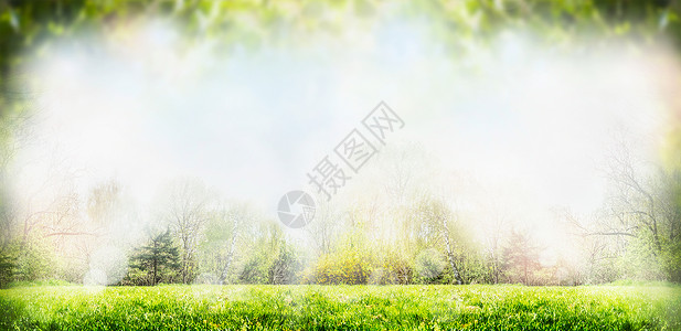 春天夏天的自然背景与树木草坪,横幅图片