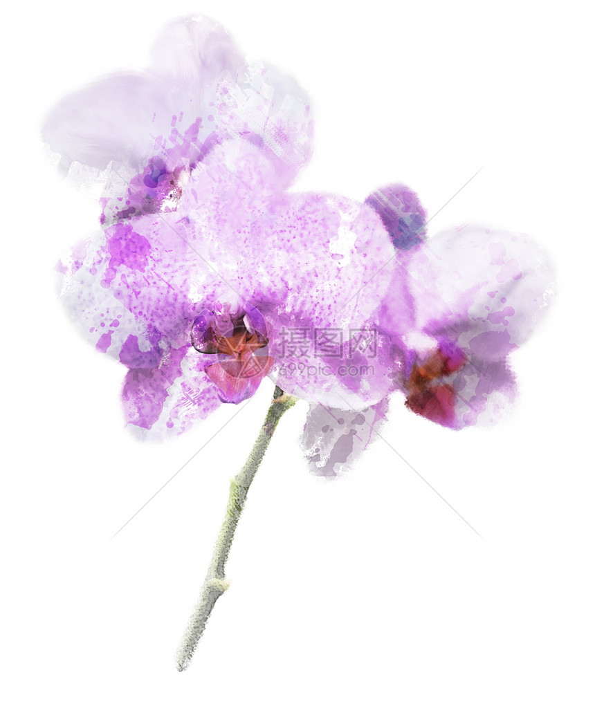 紫兰花的数码画图片