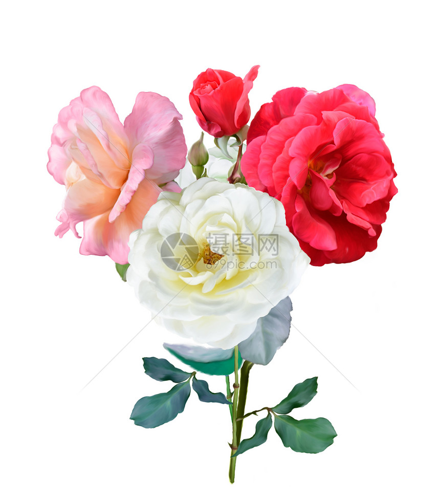 玫瑰花数字画图片