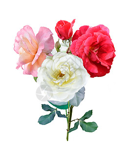 玫瑰花数字画背景图片