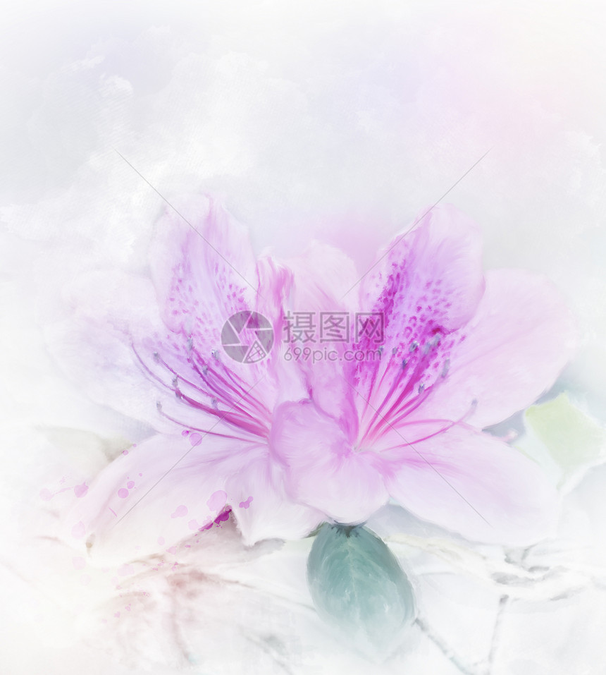 粉红色杜鹃花的数码画柔的焦点图片