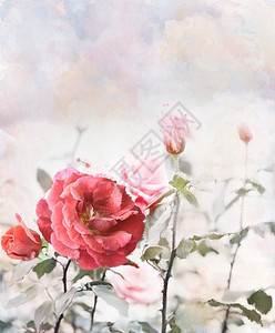 红色玫瑰的数码画图片