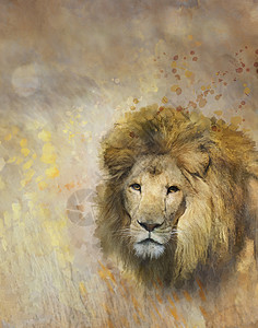 非洲狮子的数字绘画图片