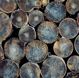堆木材原木准备冬季特写纹理图片