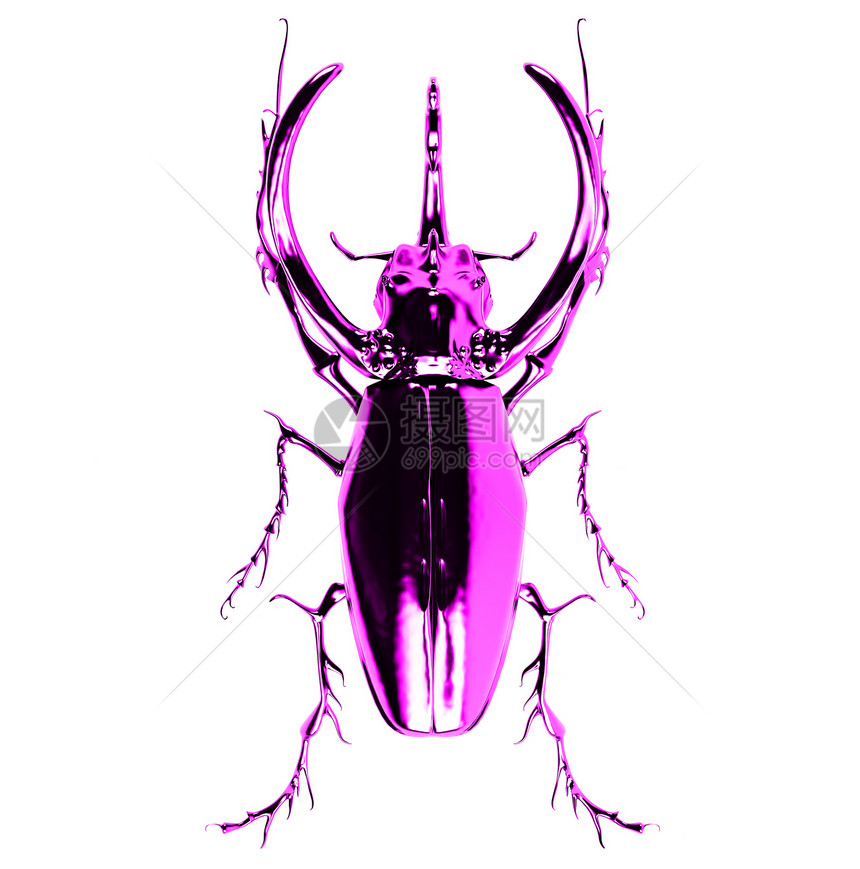 粉红色犀牛甲虫三维渲染图片