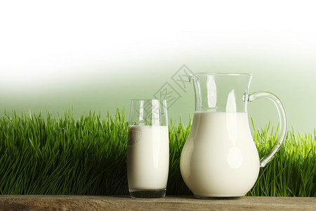 新鲜草地上的杯牛奶罐子草地上的杯牛奶罐子图片