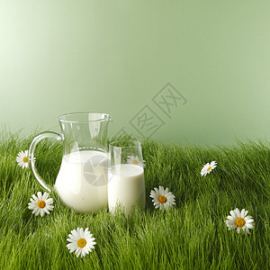 牛奶罐子璃新鲜的草甸与洋甘菊瓶子里的牛奶花草地上的璃图片