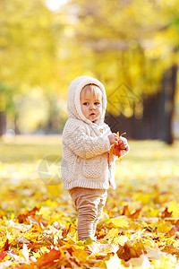 秋天公园的孩子图片