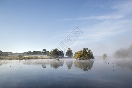 平静宁静的湖泊,薄雾笼罩冰霜的秋天的早晨景观上图片