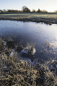 冬季景观冰覆盖了田野的溪流图片