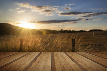 美丽的夏季形象,阳光明媚,背光乡村景观与木制木板地板图片