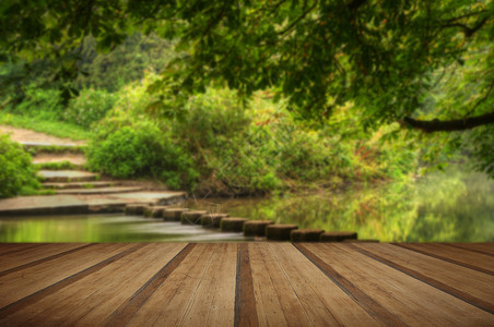 迷人的森林场景,缓慢流动的溪流与充满活力的反射与木制木板地板图片