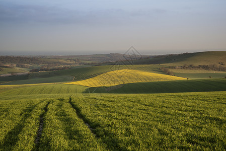 春天的早晨,恩格斯乡村的农业景观背景图片