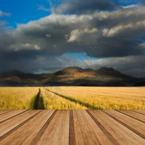 戏剧的天空山脉景观与玉米田前景与木制木板地板图片