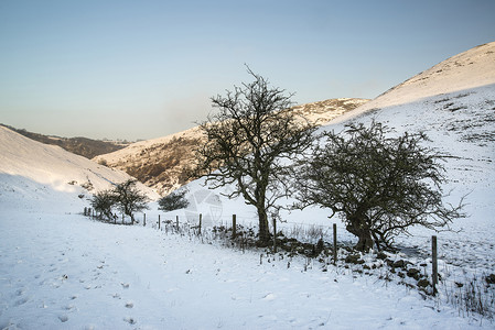 美丽的雪覆盖了日出的冬季乡村景观图片