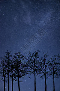 银河星系的夜空图像与自然轮廓背景图片