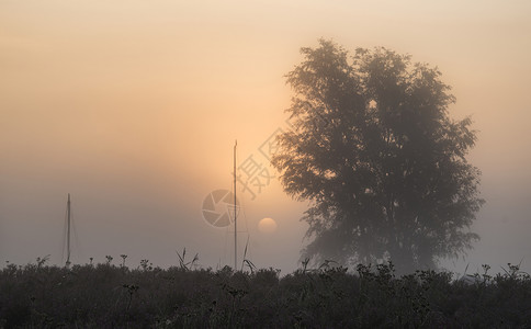 美丽的日出乡村景观中的雾状河流上发光图片