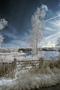 夏季英国乡村湖泊的红外景观与超现实色彩图片