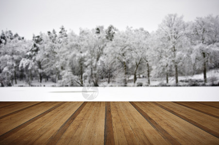 美丽的景观闪闪发光的霜雪覆盖树木与木制木板地板图片