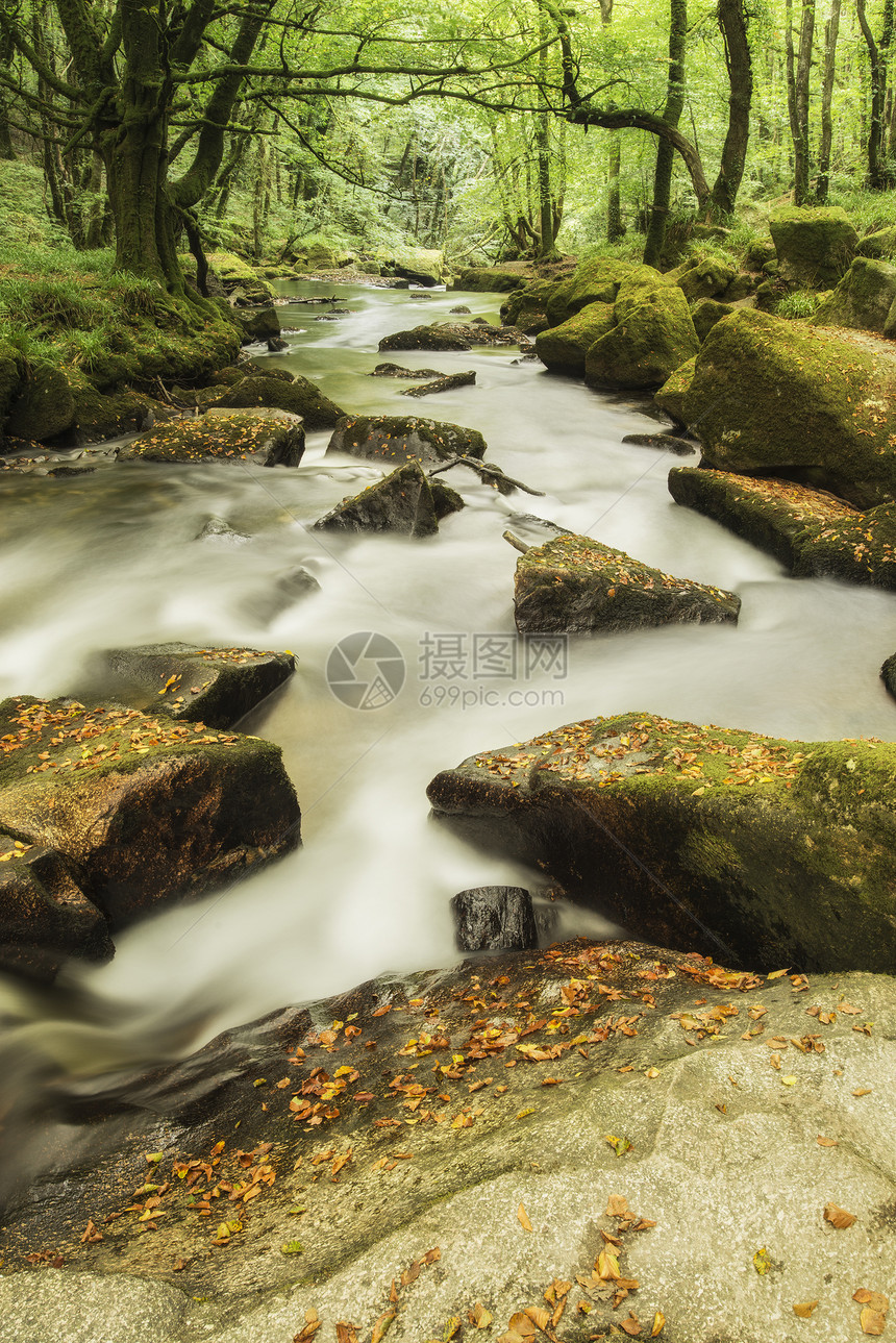 惊人的景观河流流经郁郁葱葱的森林戈利萨瀑布英国图片