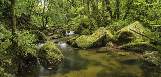 惊人的景观河流流经郁郁葱葱的森林戈利萨瀑布英国高清图片