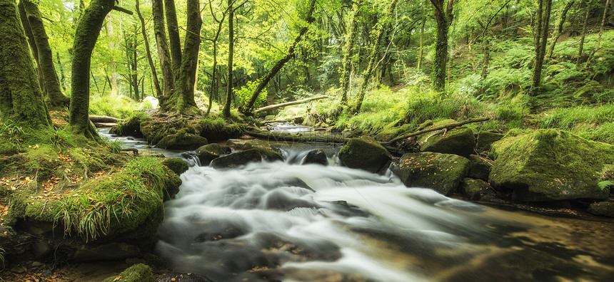 惊人的景观河流流经郁郁葱葱的森林戈利萨瀑布英国图片