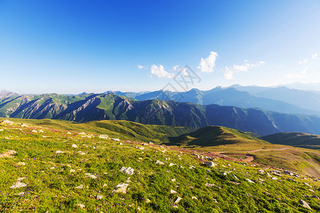 夏天的青山图片