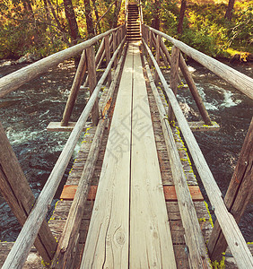 森林里的桥图片