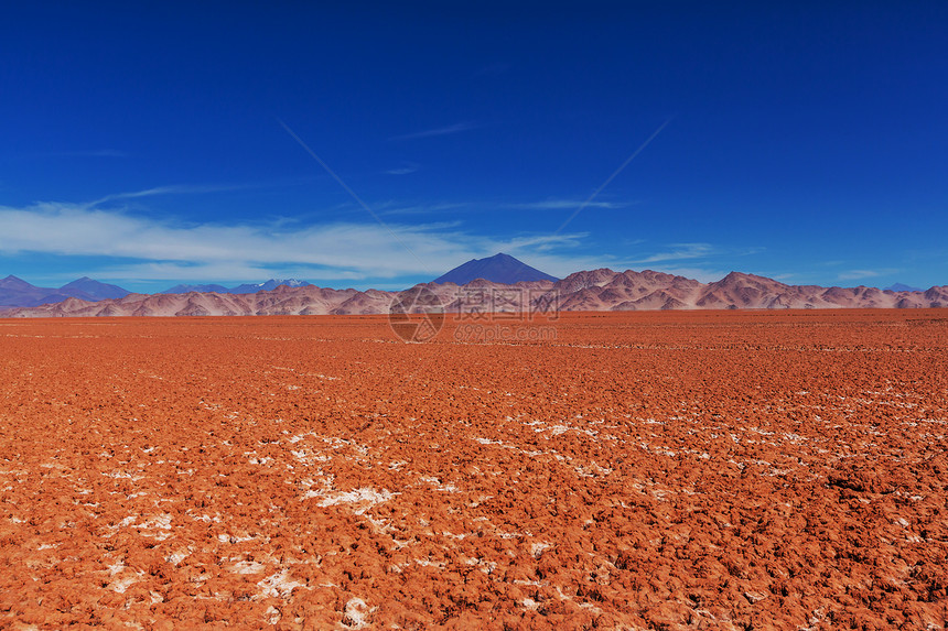 阿根廷朱吉省的盐沙漠图片