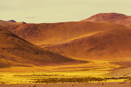 阿根廷北部的景观图片