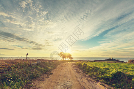 路径领域草地上的路背景