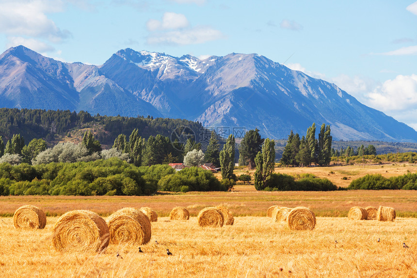 阿根廷的乡村景观图片